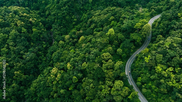 Obraz Top view road in beautiful autumn forest at sunset, trees with red and orange leaves , Beautiful landscape view from flying drone in Nature