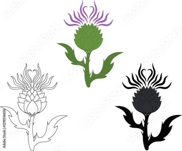 Obraz scottish thistle in different colours