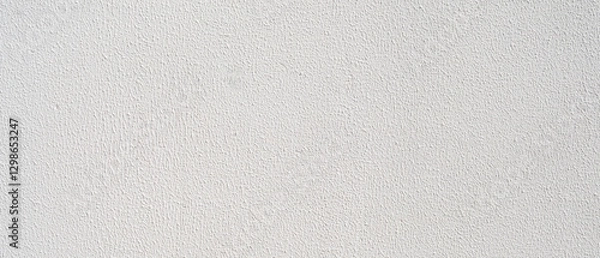 Obraz White rough plaster facade texture background banner panorama..