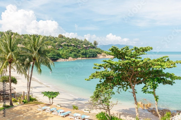 Fototapeta Tropical beach with sea and palm