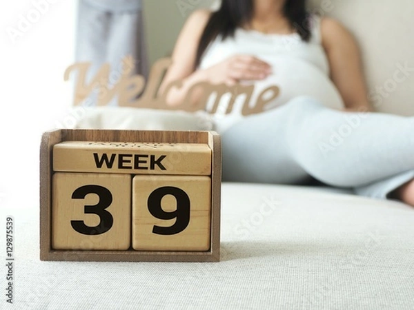 Fototapeta Calendar with weeks 39 of pregnant with pregnancy woman background. Maternity concept. Expecting an upcoming baby. Due date countdown.
