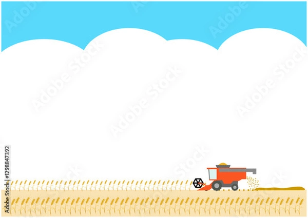 Obraz Combine harvester harvesting in a wheat field