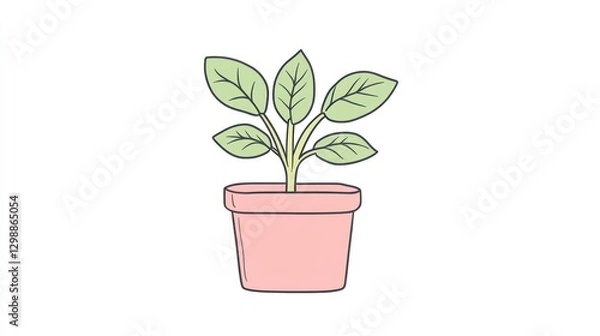 Fototapeta Potted plant, home d?cor, simple illustration, white background, minimalist design