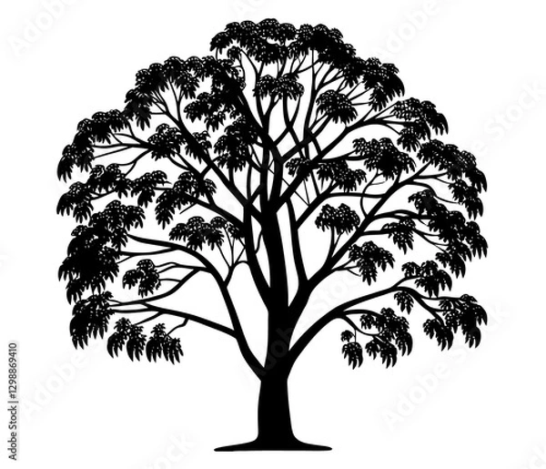 Fototapeta Silhouette of a tree with sprawling branches . Tree PNG
