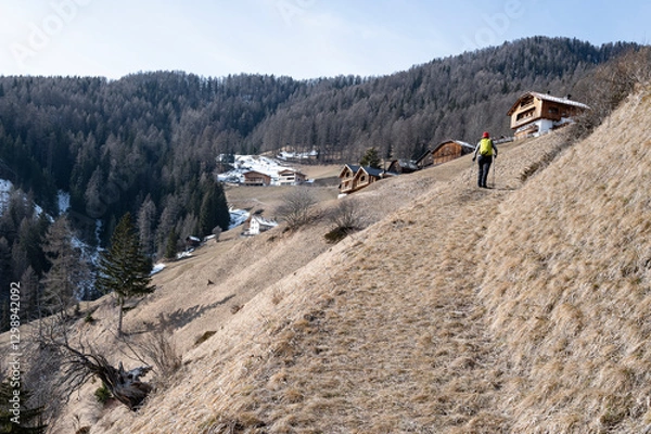 Fototapeta Wanderung auf dem Roda dles Viles , einer Weilerwanderung in den Dolomiten - Auf dem Weg zum Weiler Lagoscel 