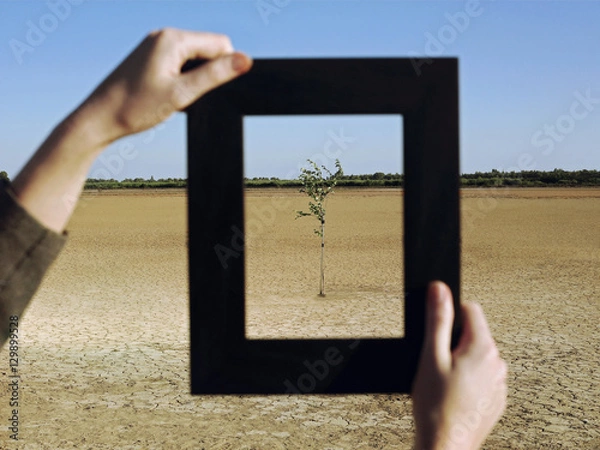 Obraz Closeup of woman's hands framing plant in desert