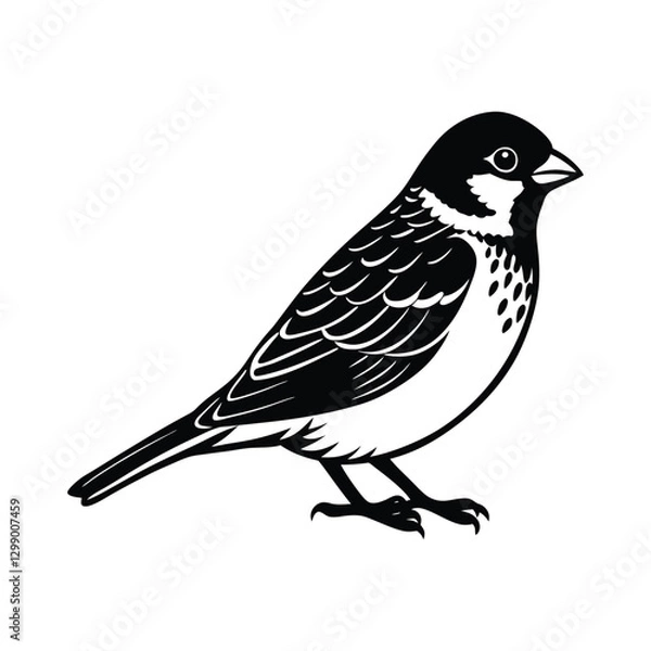 Fototapeta A sparrow silhouette vector art illustration