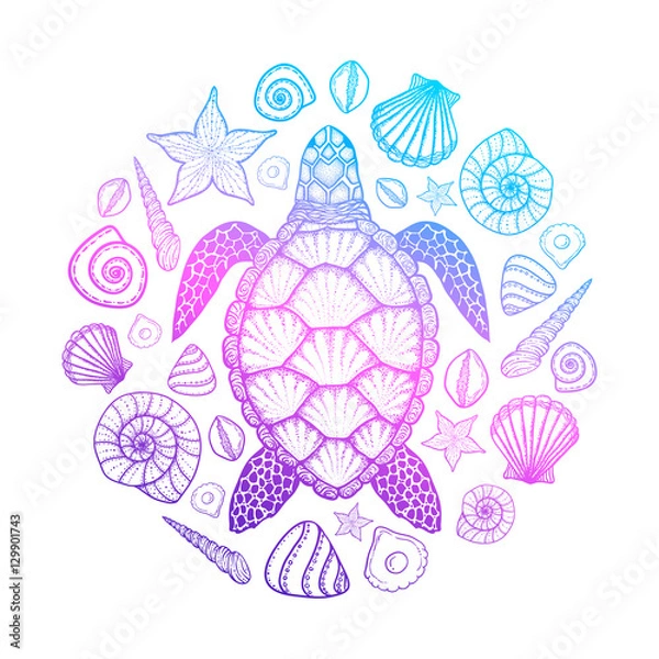 Fototapeta Sea turtle and shells in line art style. Hand drawn vector illustration. Top view. Design for coloring book. Set of ocean elements