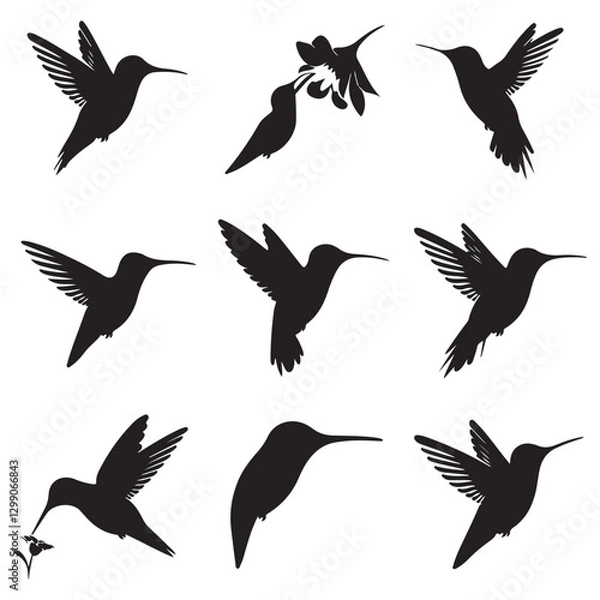 Fototapeta Sparrow Silhouette On A Branch On A Transparent Background Silhouette of a bird on branchBirds