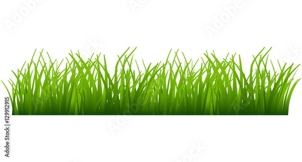 Obraz Grass vector