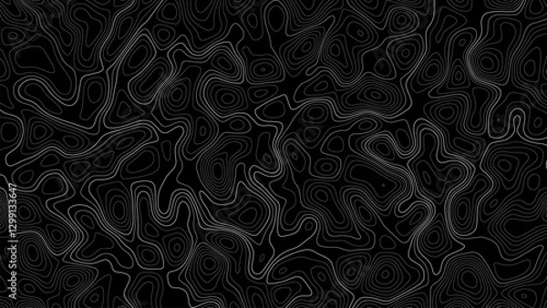 Obraz Abstract black and white topographic map background. Geographic pattern or landscape texture. Mountain terrain or path. Vector illustration.