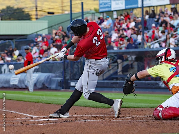 Obraz 23 baseball player batting