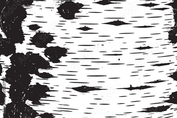 Obraz Birch bark texture vector illustration