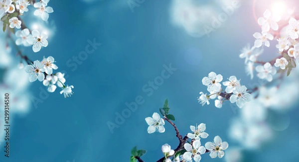 Obraz Blossom tree over nature background. Spring flowers. Spring background