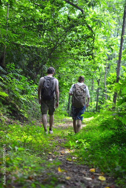 Obraz Two guys with backpacks in a green forest are walking and talking