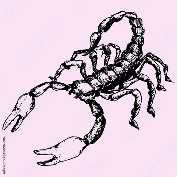 Obraz Skorpion doodle styl szkic ilustracji ręcznie rysowane wektor