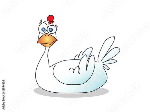 Fototapeta chicken isolated