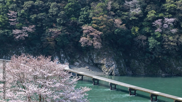 Obraz 春の岩間沈下橋