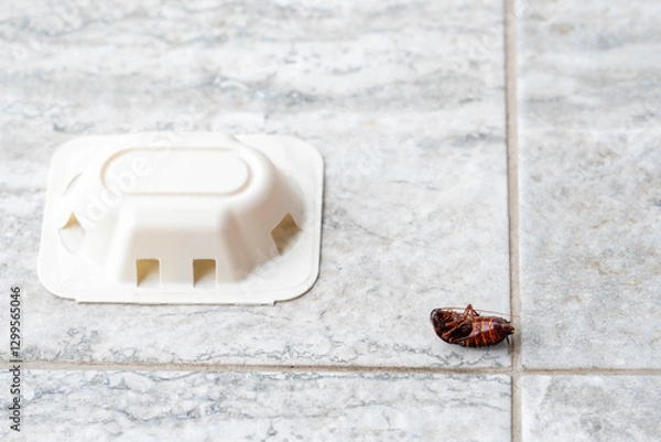 Fototapeta Hygiene issue with cockroach and pest control device in home