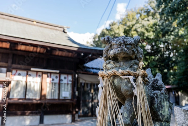 Obraz 神社の狛犬と青い空