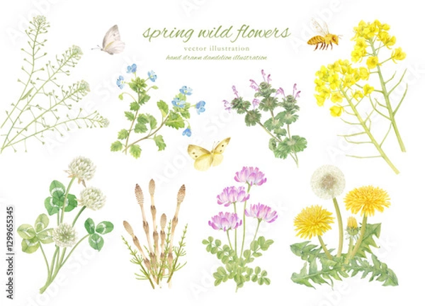 Obraz 水彩手書きの春の草花のカットイラスト