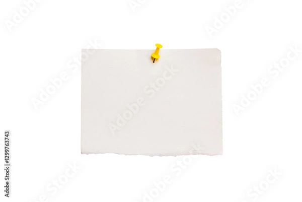 Obraz blank note paper