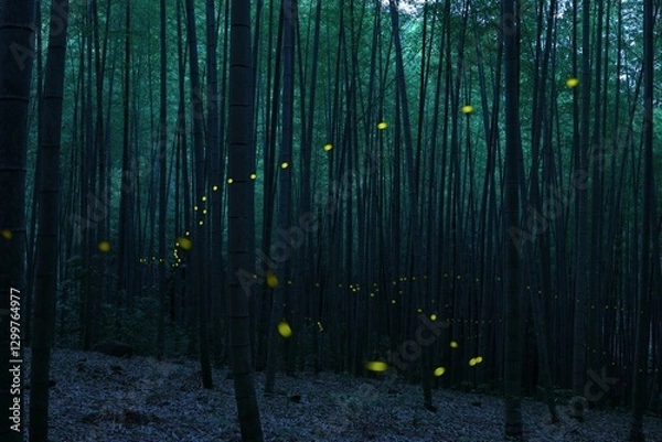 Obraz 竹林に舞うヒメボタル