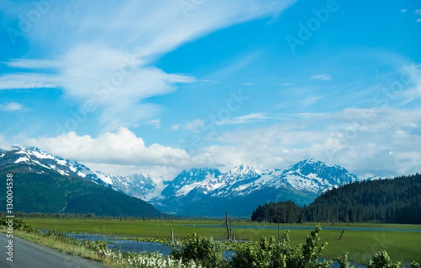 Fototapeta Alaska in Summer time with mountain scene on the way to the garter 