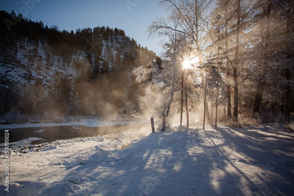 Obraz Winter landscape