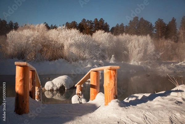 Obraz Winter landscape