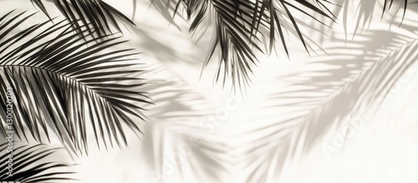 Obraz Silhouettes of dark palm fronds against a light sandy background create a tranquil beach atmosphere perfect for serene wallpaper decor.