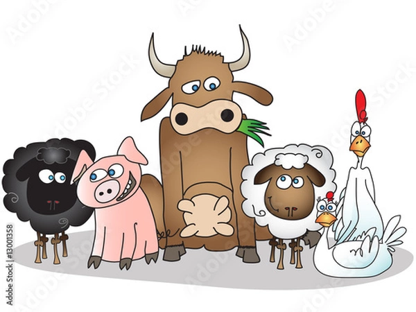 Fototapeta farm animals