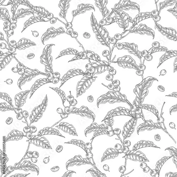 Obraz Seamless pattern Coffee plant. Coffee beans on branch. Vector illustration hand drawn. Black and white vintage style. Design for packaging.