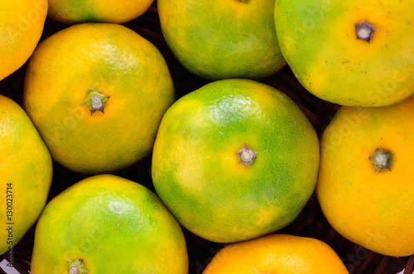 Fototapeta フルーツ