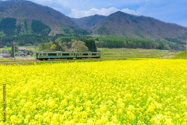 Fototapeta 青空の下、田舎を走る日本の鉄道 