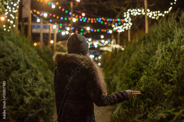 Obraz Girl picking christmas tree