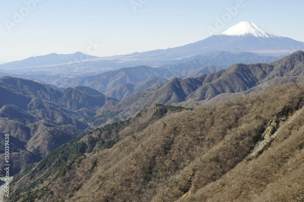 Fototapeta 丹沢からの富士山