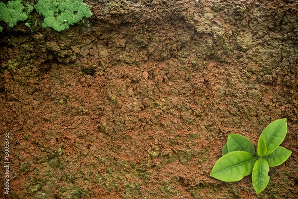 Obraz Image of red soil texture