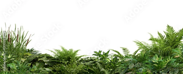 Obraz 3D render foreground Tropical Plant Green Leaf on transparent background