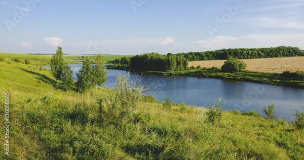 Obraz Summer landscape with river