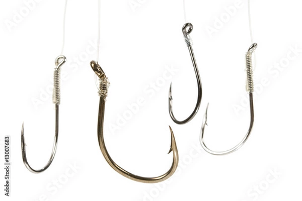Obraz Fishing Hook