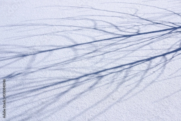 Obraz 雪と森の詩