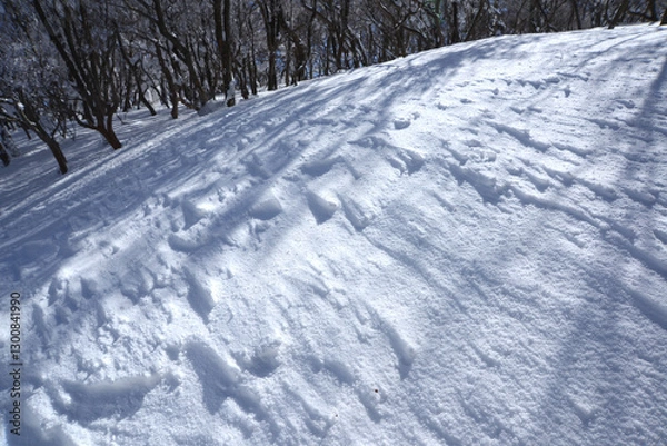 Obraz 雪と森の詩