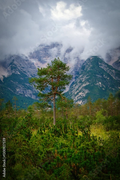 Fototapeta Blick auf Wälder und Gebirge in den Südtiroler Dolomiten am Dürrensee in Italien