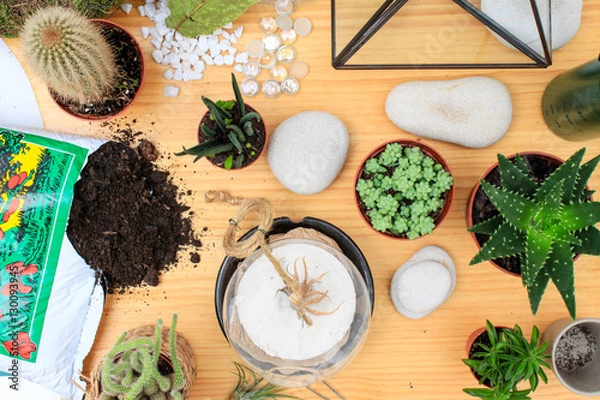 Obraz How to make a terrarium