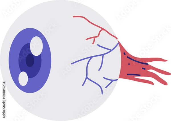 Fototapeta A simplified diagram of the human eye