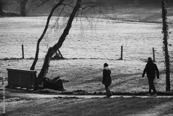 Obraz autour du lac N & B  01 2025