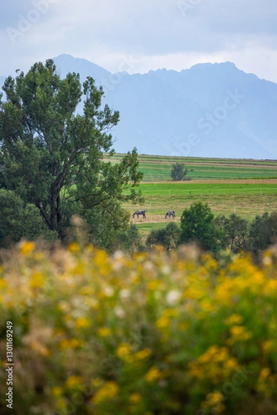 Obraz Tatry i konie