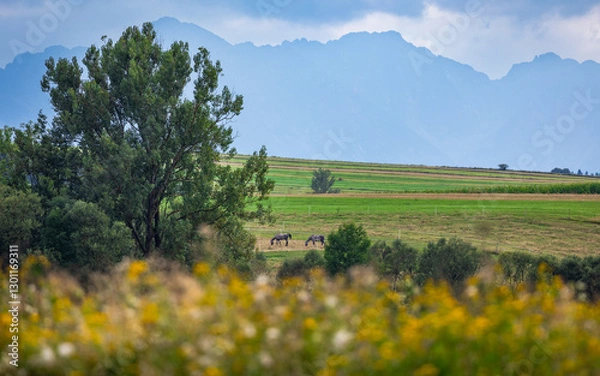 Obraz Tatry i konie