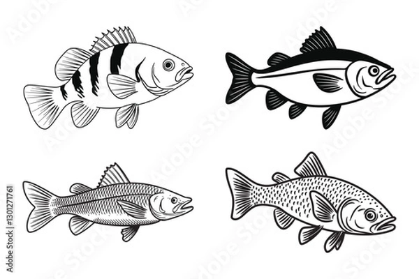 Obraz Minimalist fish vector set line art